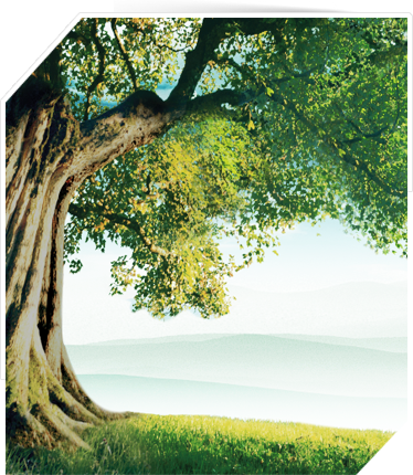 上海長征水泵廠家 上海長征水泵廠家