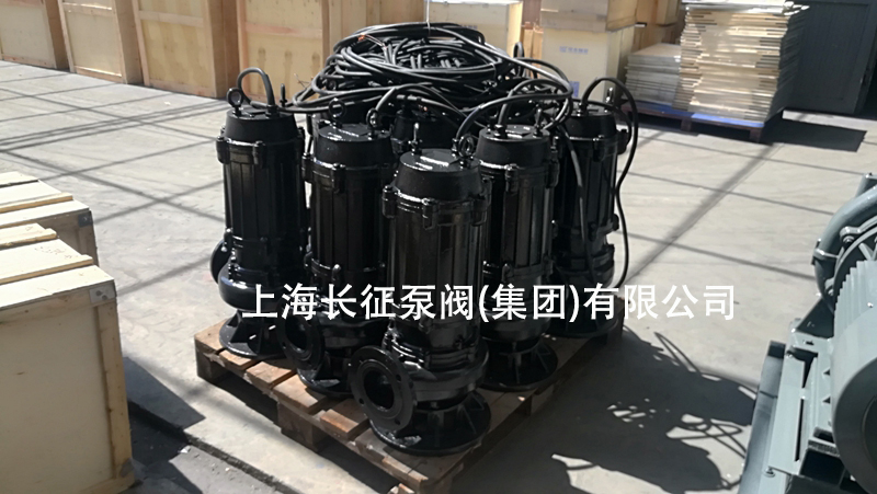 排污泵廠家 排污泵廠家