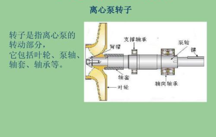 離心泵轉子 離心泵轉子