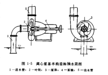 離心泵基本構造 離心泵基本構造