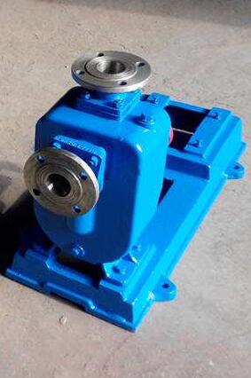 自吸排污泵 自吸排污泵