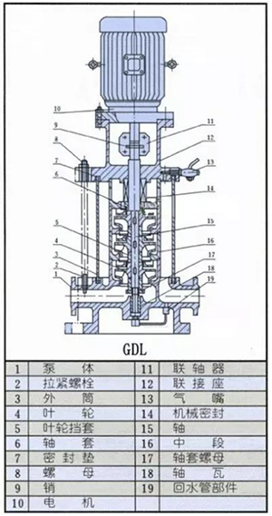 循環水泵結構圖 循環水泵結構圖