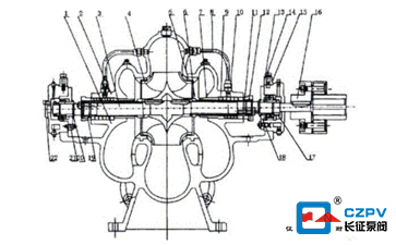 中開泵的結構圖 中開泵的結構圖