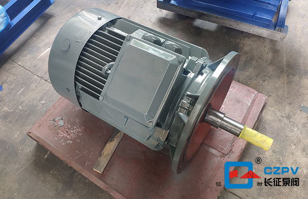 水泵電機(jī) 水泵電機(jī)