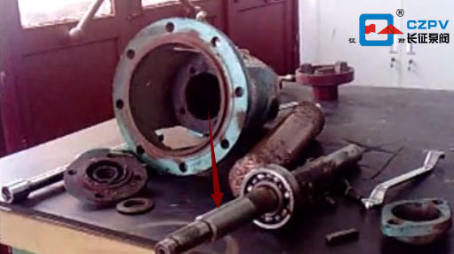 循環水泵的拆裝順序圖 循環水泵的拆裝順序圖