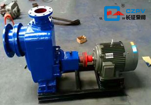 臥式自吸離心泵 臥式自吸離心泵