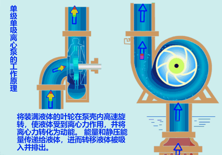 離心泵原理動圖 離心泵原理動圖