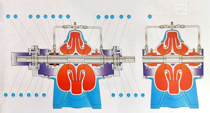 雙吸泵結構圖 雙吸泵結構圖