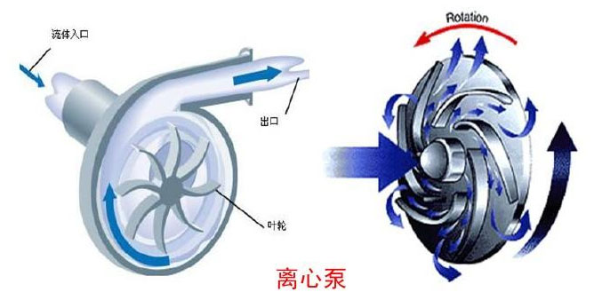 離心泵屬于葉片泵的一種 離心泵屬于葉片泵的一種