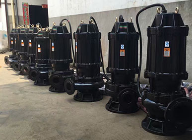 圖2污水潛水泵 圖2污水潛水泵
