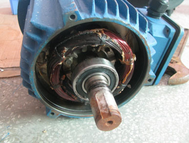 自吸泵電機燒壞圖 自吸泵電機燒壞圖