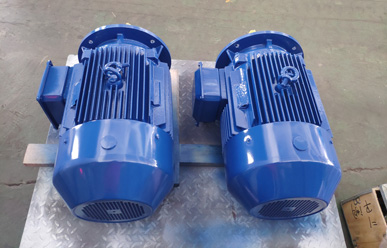 高低溫循環泵電機 高低溫循環泵電機