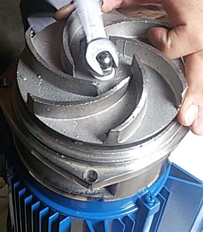 自吸泵葉輪的拆卸圖 自吸泵葉輪的拆卸圖