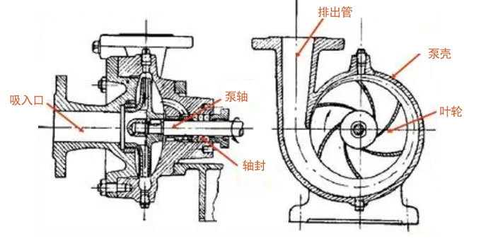 離心泵構造圖 離心泵構造圖