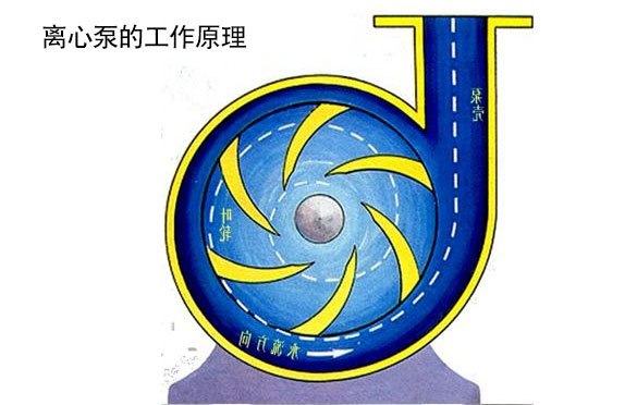 離心泵工作原理圖 離心泵工作原理圖