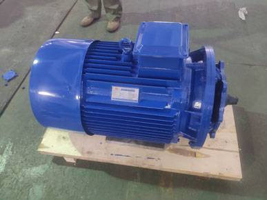 高低溫循環(huán)泵電機 高低溫循環(huán)泵電機