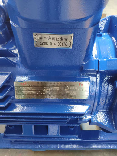 隔爆型電機 隔爆型電機