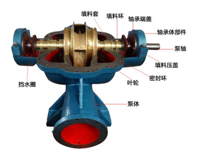 雙吸泵結構圖 雙吸泵結構圖