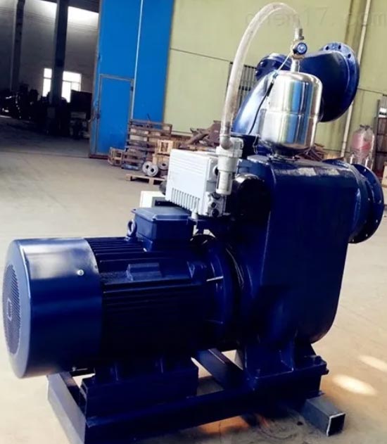 高吸程自吸泵 高吸程自吸泵